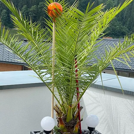 Alpstuga Sun