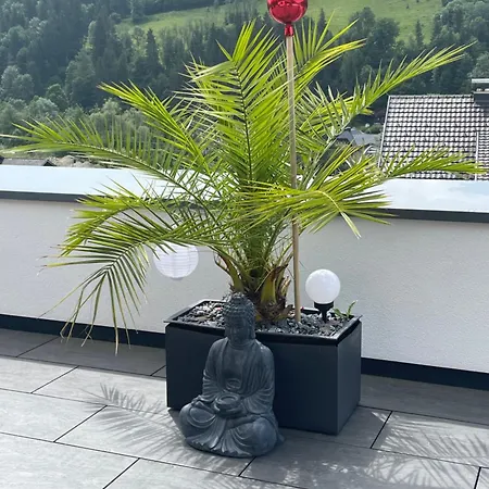 Alpstuga Sun *