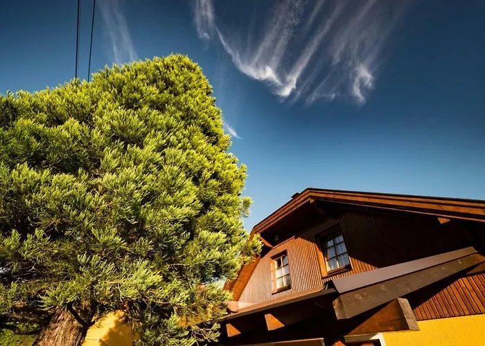 صن * سخلادميخ